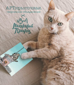 открытка с котом